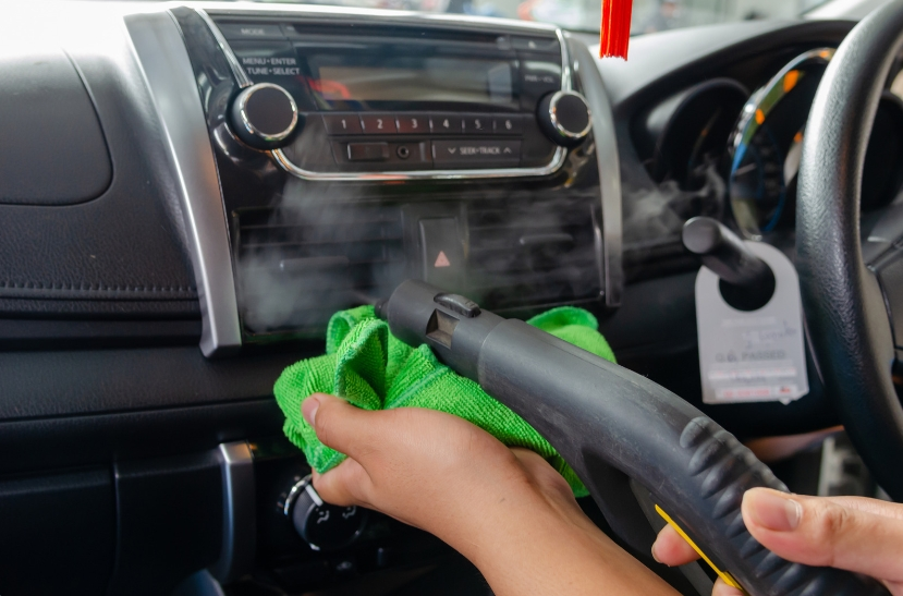 Car Pest Control，Automobile Pest Control (15)